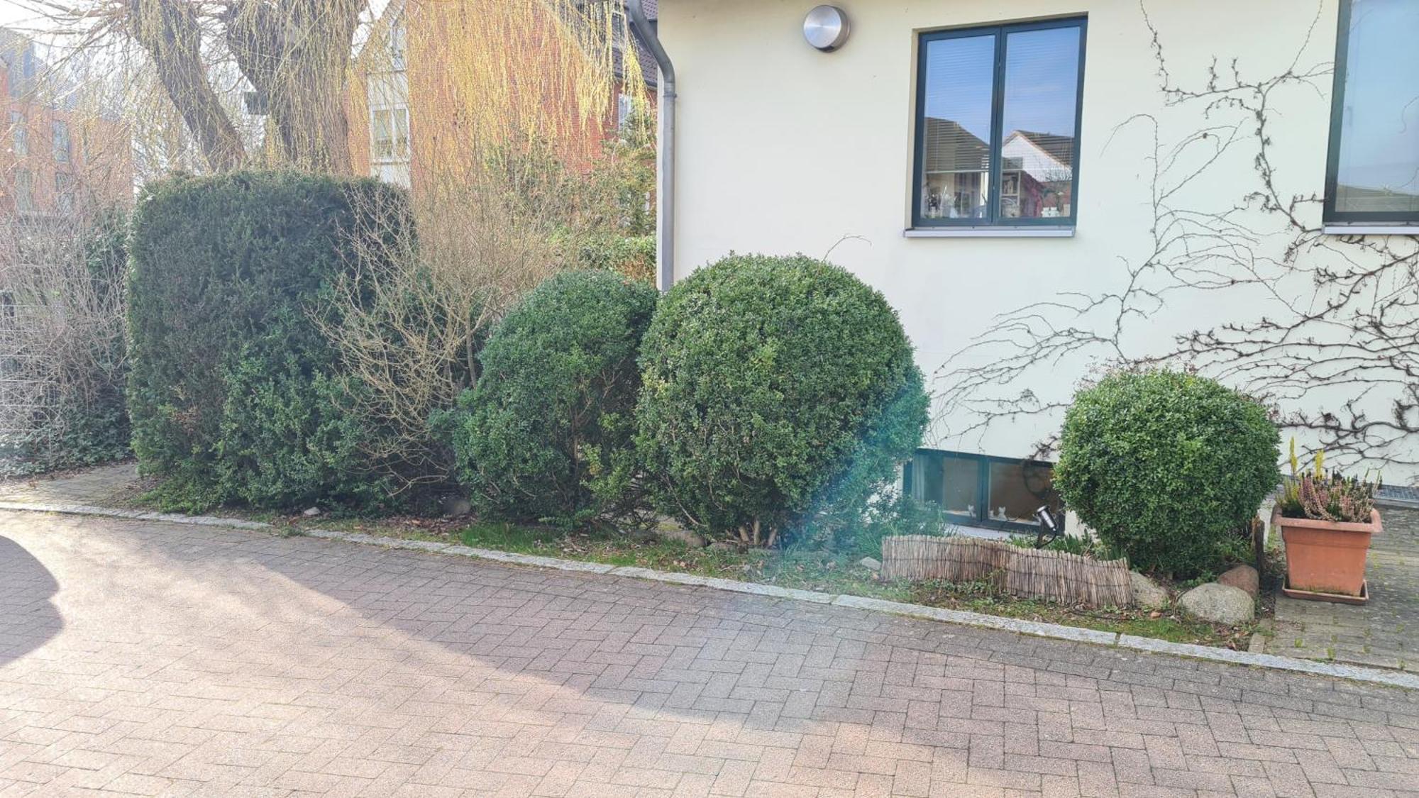 Pematra Mollenhauer Lübeck